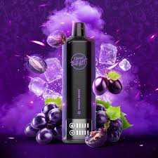 Flavour Beast- 15k puffs- Shisha Grape