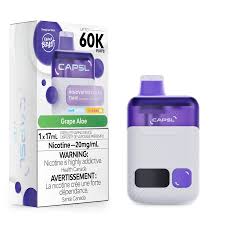 Flavor Beast Capsl  60k  - Grape aloe